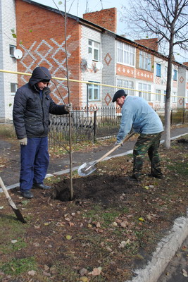 Осенний этап Дня дерева стартовал в Шемуршинском районе